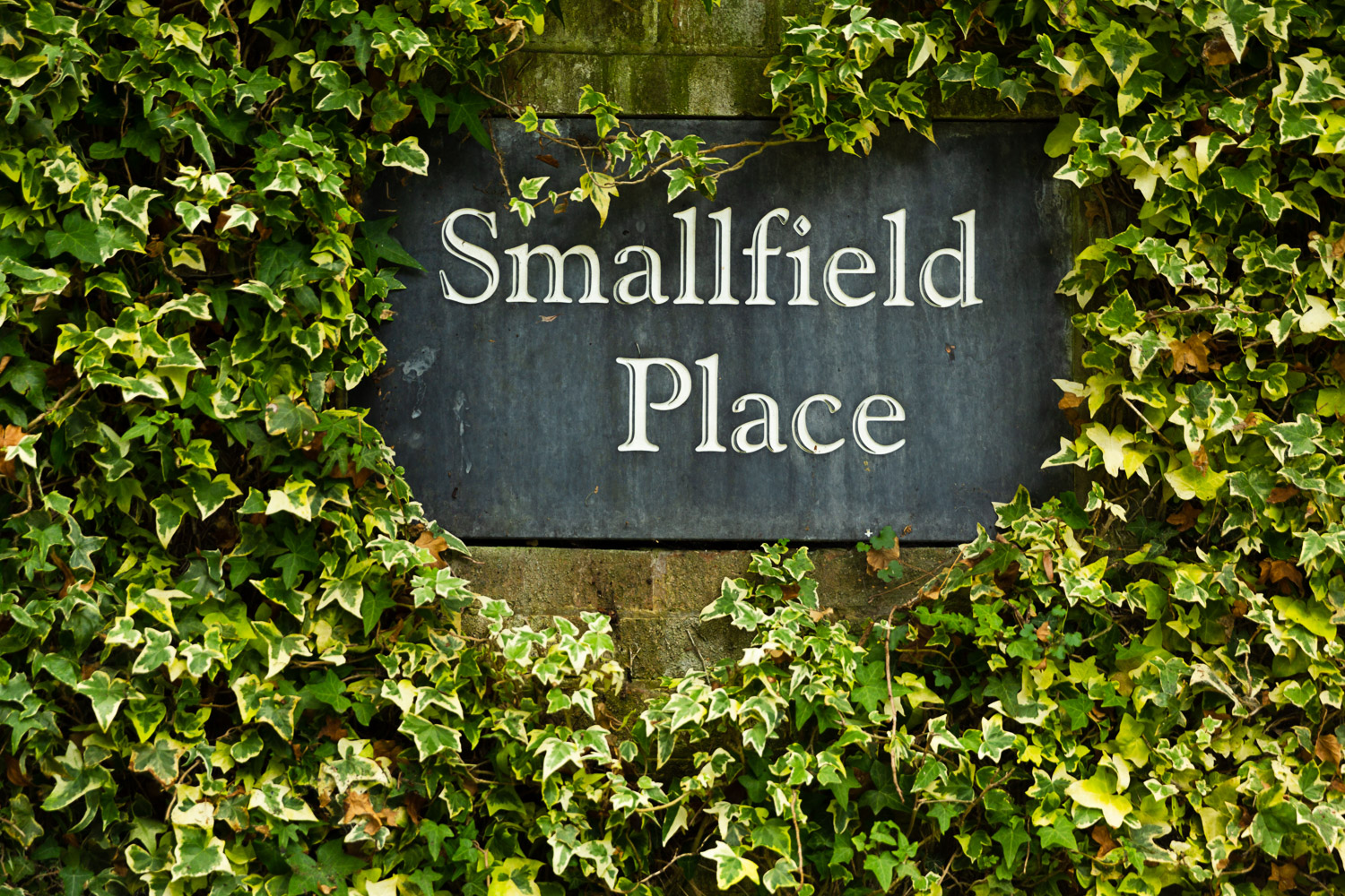 Smallfield Place — wedding venue in Smallfield, surrey (photo 8 of 8)