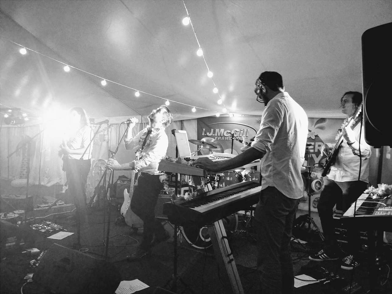 The Hound Dogs — wedding music in Warminster (photo 8 of 8)