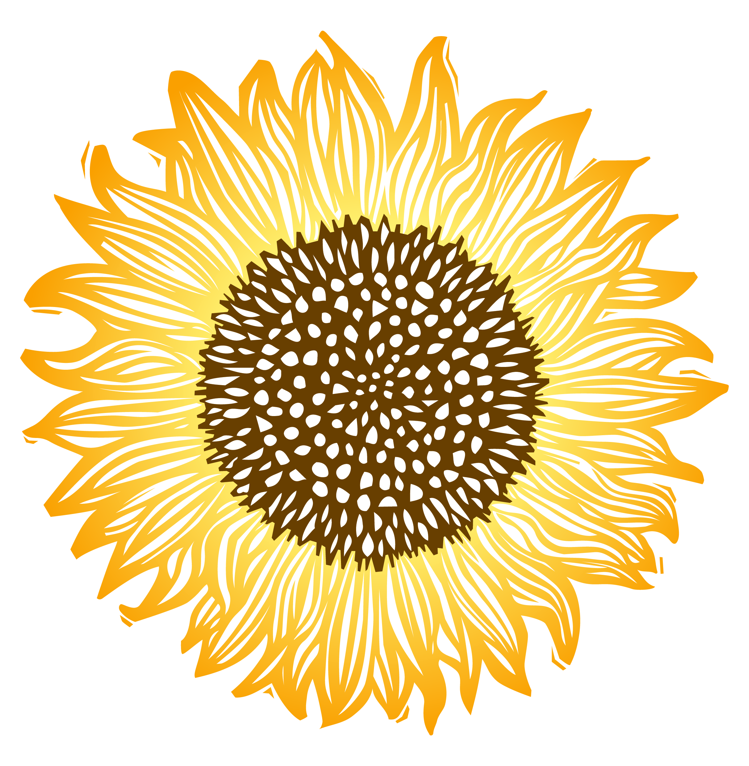 logo — Sunflower Kitchen — wedding caterer in WINCANTON, somerset
