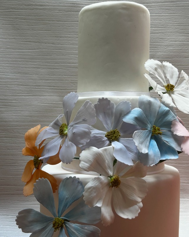 The Bake Boutique — wedding cake in Worcester, Worcestershire (photo 8 of 8)