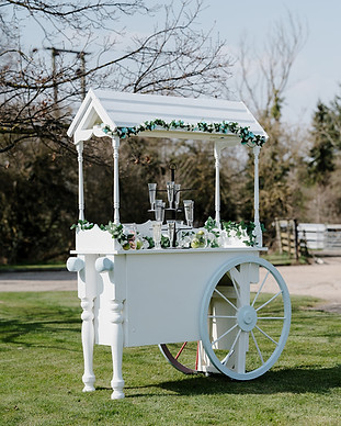 Cart — Liquid Mobile Bar, Bedford, bedfordshire