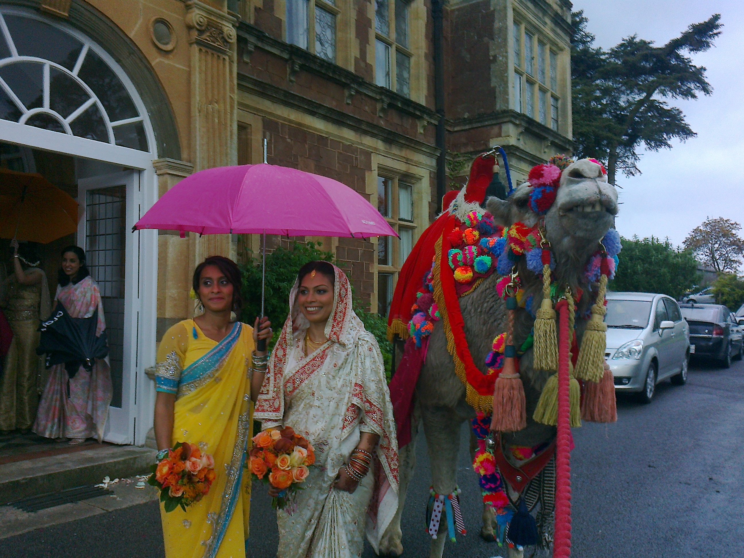 Beautiful bride — Joseph's Amazing Camels Ltd, Idlicote