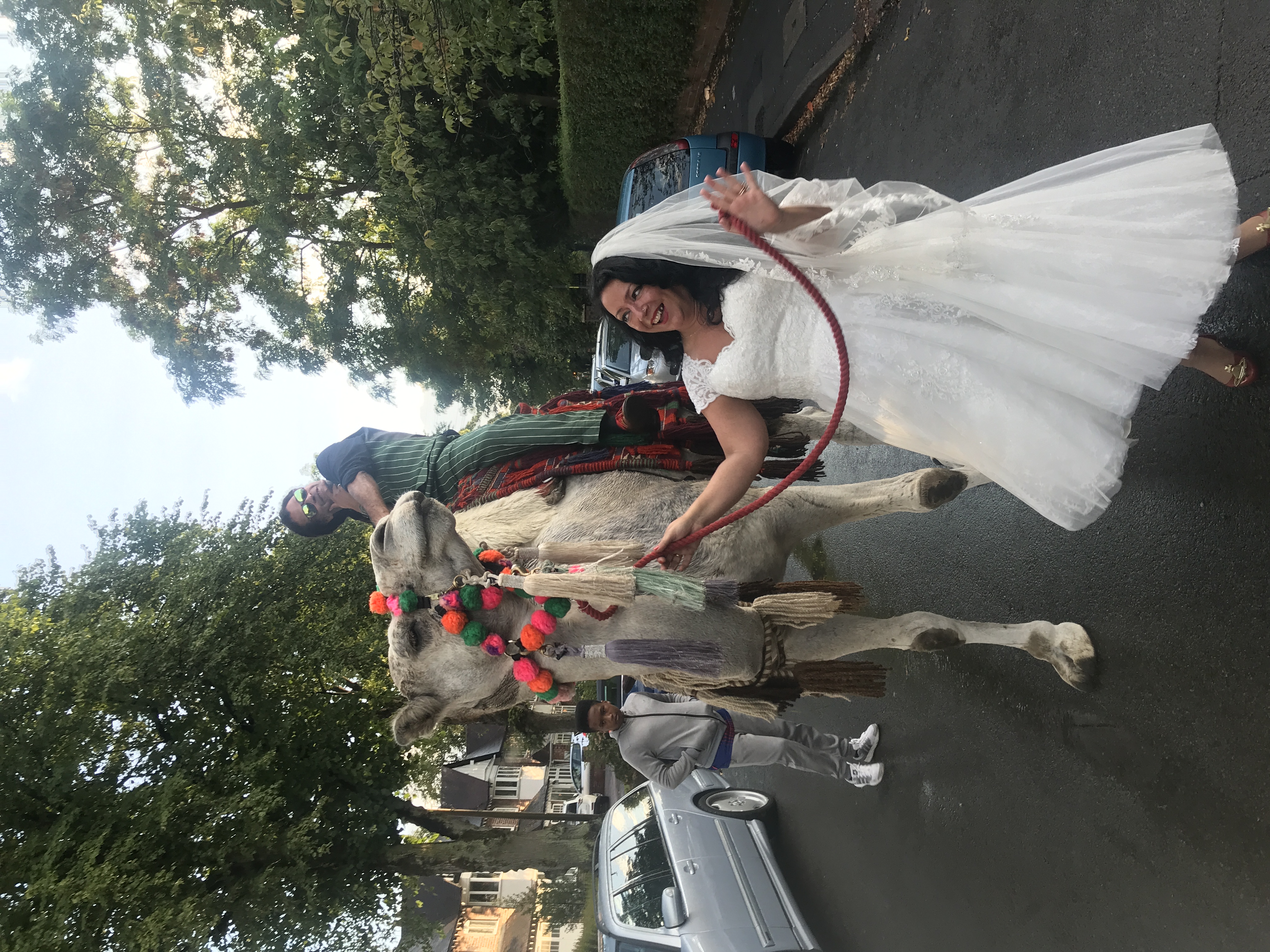 Birmingham has never seen the like ! — Joseph's Amazing Camels Ltd — wedding entertainment in Idlicote