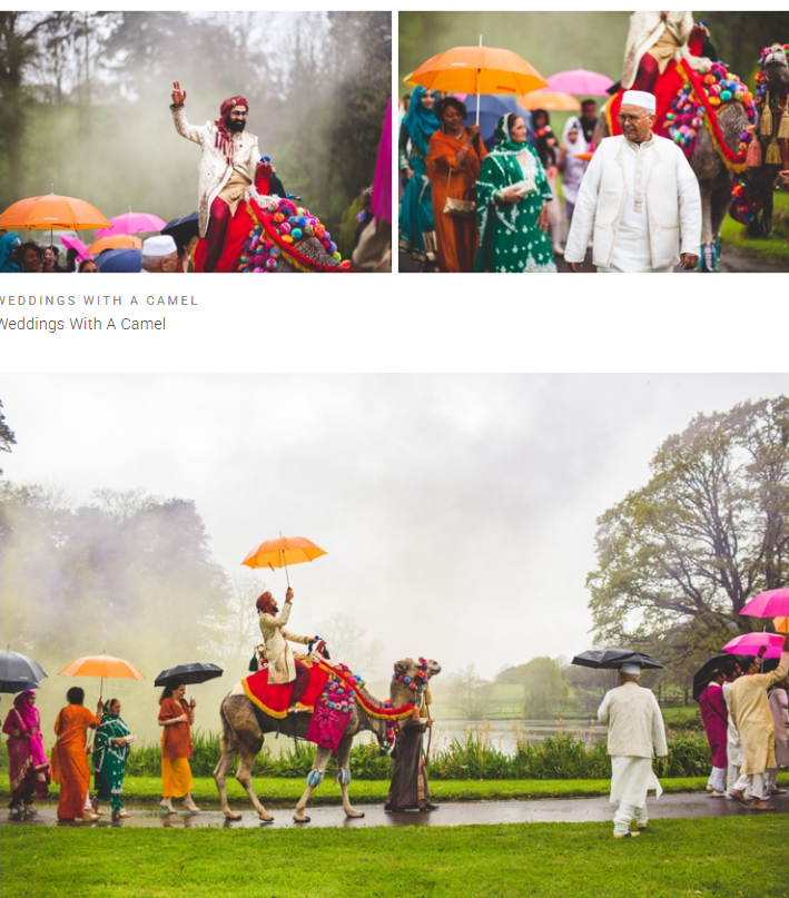 Joseph's Amazing Camels Ltd — wedding other in Idlicote (photo 2 of 6)