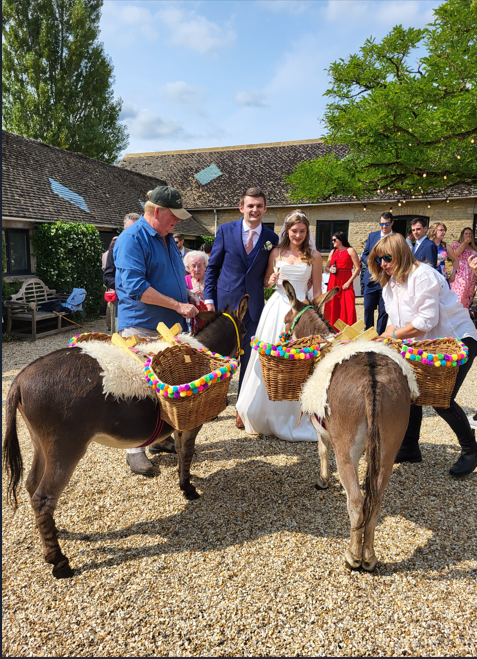 Joseph's Amazing Camels Ltd — wedding other in Idlicote (photo 3 of 6)