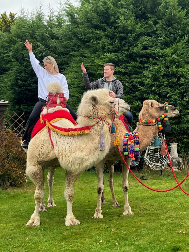 Joseph's Amazing Camels Ltd — wedding other in Idlicote (photo 5 of 6)